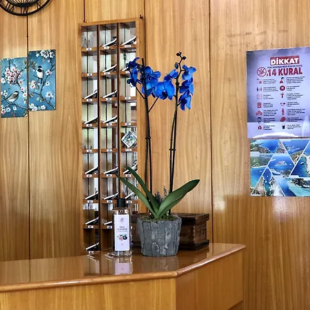 Hotel Kekova Kas